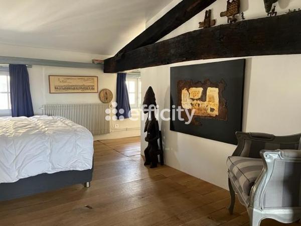 Maison 12 pièces - 395 m² Bien prestige