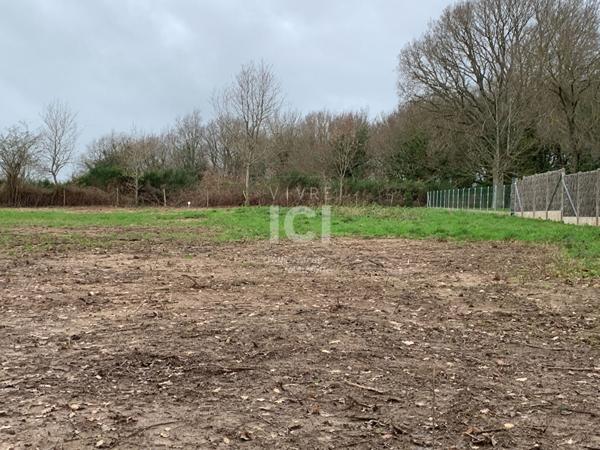 Terrain Saint Lyphard