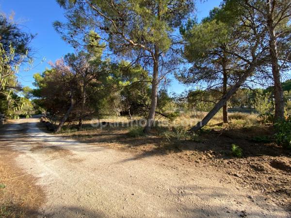 Propriété 5 pièces 178m2 avec piscine sur terrain de 1,4H à MEZE (34)