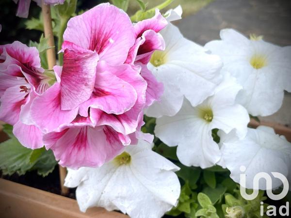 Maison d’architecte 5 pièces de 130 m² à Saran (45770)