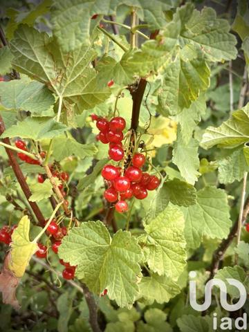 Maison d’architecte 5 pièces de 130 m² à Saran (45770)