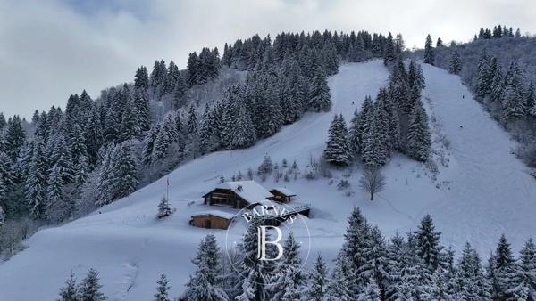 Megève, Chalet 5 Chambres -  340 m² à vendre