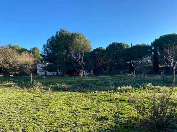 Terrain de 5 hectares - Projet Equin ou rural avec belle maison avec piscine