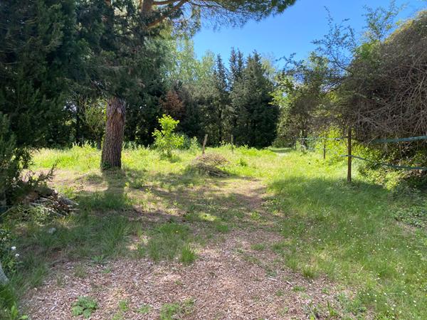 Terrain de 5 hectares - Projet Equin ou rural avec belle maison avec piscine