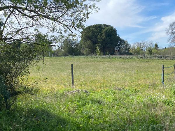 Terrain de 5 hectares - Projet Equin ou rural avec belle maison avec piscine