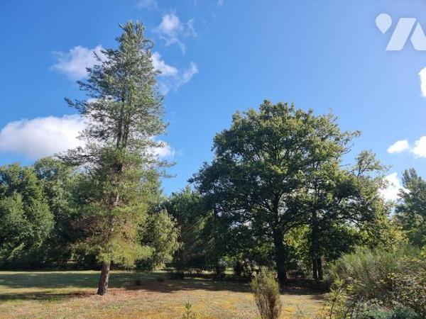 À vendre à Pruniers en Sologne (41) ? Dans un environnement paisible et verdoyant, belle propri...