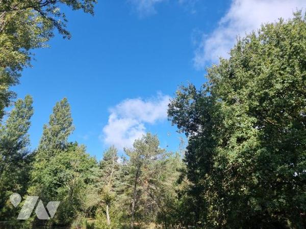 À vendre à Pruniers en Sologne (41) ? Dans un environnement paisible et verdoyant, belle propri...