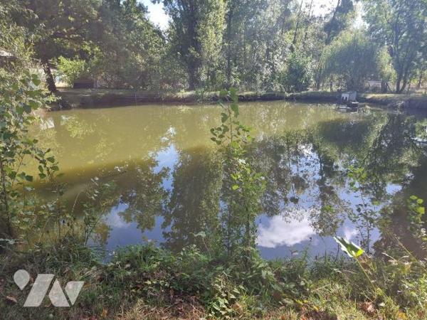 À vendre à Pruniers en Sologne (41) ? Dans un environnement paisible et verdoyant, belle propri...