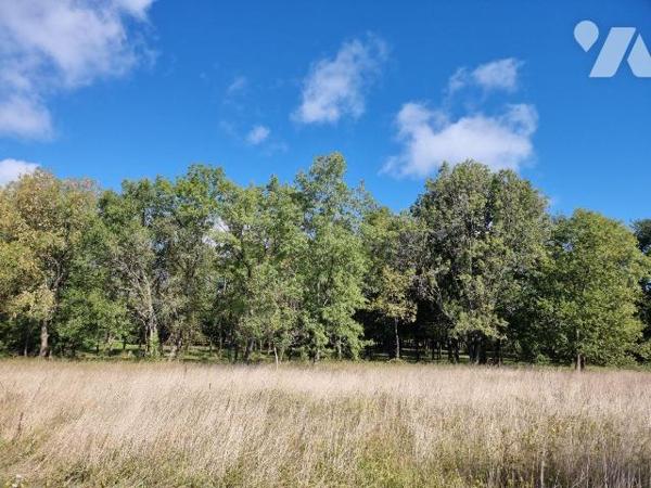 À vendre à Pruniers en Sologne (41) ? Dans un environnement paisible et verdoyant, belle propri...