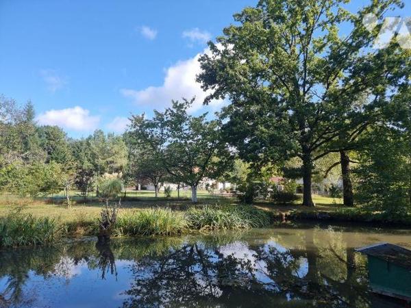 À vendre à Pruniers en Sologne (41) ? Dans un environnement paisible et verdoyant, belle propri...