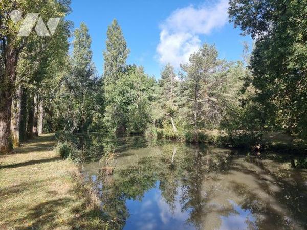 À vendre à Pruniers en Sologne (41) ? Dans un environnement paisible et verdoyant, belle propri...