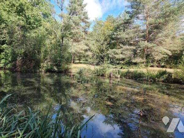 À vendre à Pruniers en Sologne (41) ? Dans un environnement paisible et verdoyant, belle propri...