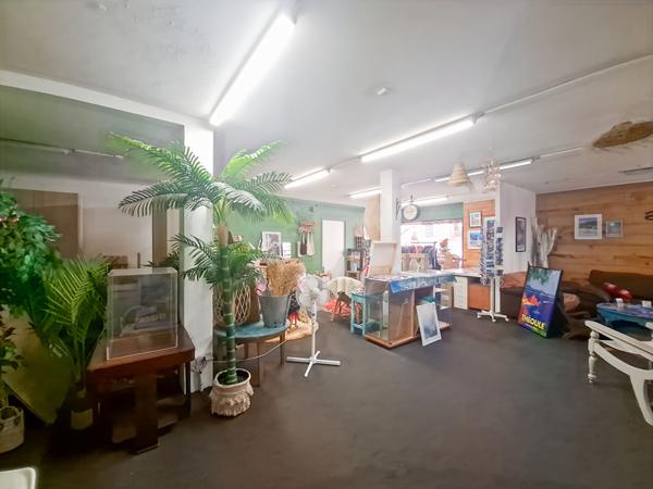 Rare - Centre ville de Theoule Sur Mer - Immeuble 593m² comprenant locaux d'habitation, locaux commerciaux et sous sols.