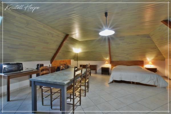 Dpt Finistère (29), à vendre CARHAIX PLOUGUER maison P9 de 232 m² - Terrain de 2133 m²