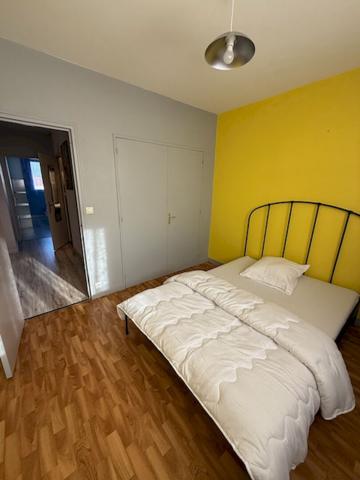 Appartement Montbrison centre-ville T3