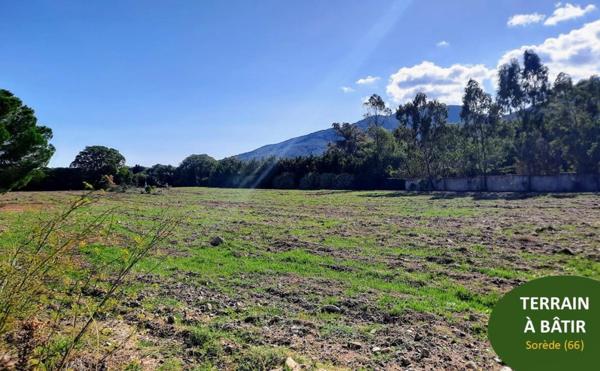 Nouveau à Sorède! Terrain à bâtir viabilisé