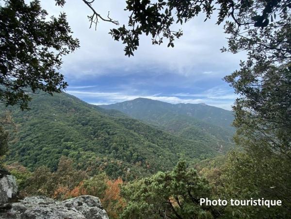 Nouveau à Sorède! Terrain à bâtir viabilisé