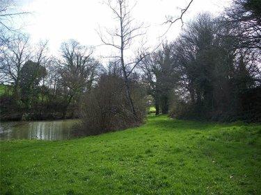 Terrain de loisirs - Bois - Etang à vendre à Nuillé-sur-Vicoin en Mayenne (53970), ref : 53032-958