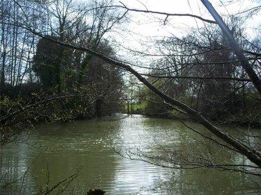Terrain de loisirs - Bois - Etang à vendre à Nuillé-sur-Vicoin en Mayenne (53970), ref : 53032-958