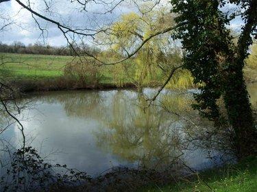 Terrain de loisirs - Bois - Etang à vendre à Nuillé-sur-Vicoin en Mayenne (53970), ref : 53032-958