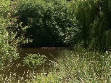 Terrain de loisirs - Bois - Etang à vendre à Nuillé-sur-Vicoin en Mayenne (53970), ref : 53032-958