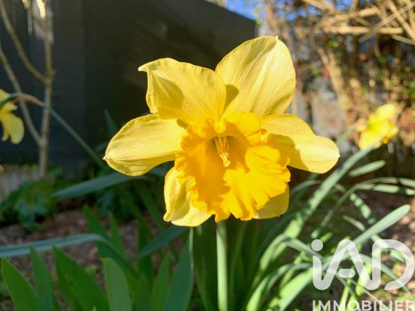 Maison à vendre 7 pièces 174 m² La Chapelle-Saint-Mesmin