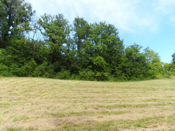 Terrain constructible 2500 m2