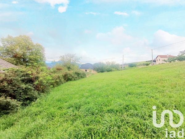 Terrain à vendre 571 m² Cellieu