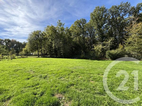 Maison à vendre  6 pièces - 144,95 m2 CHAILLAC SUR VIENNE - 87