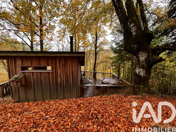 Maison à vendre 10 pièces 200 m² Singles