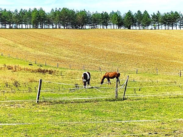 À vendre - Terrain agricole 267883 m² situé à Margouët-Meymes (32290)