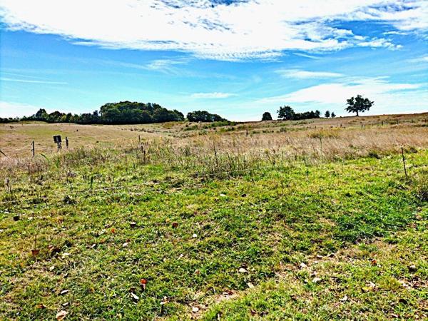 À vendre - Terrain agricole 267883 m² situé à Margouët-Meymes (32290)