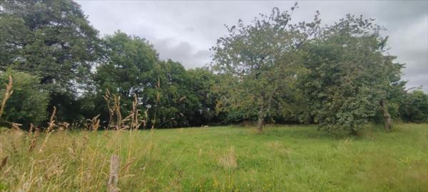 Terrain à Batir à vendre à Allaire dans le Morbihan (56350), ref : 143/322T