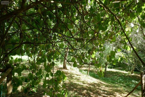 Maison à vendre à Le Menoux dans l'Indre (36200), ref : 037/2614