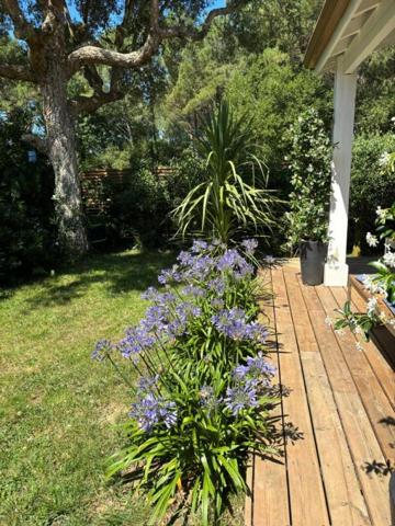 Maison Capbreton 3 pièce(s) 60 m2