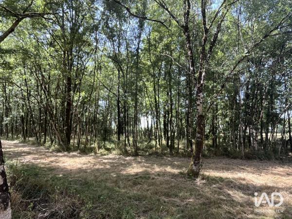 Terrain à vendre 7 530 m² La Garnache