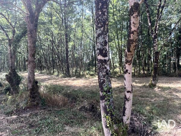 Terrain à vendre 7 530 m² La Garnache