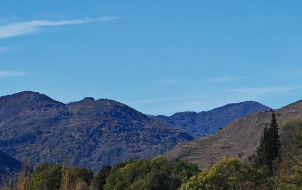 Vente Maison Les cabannes   
