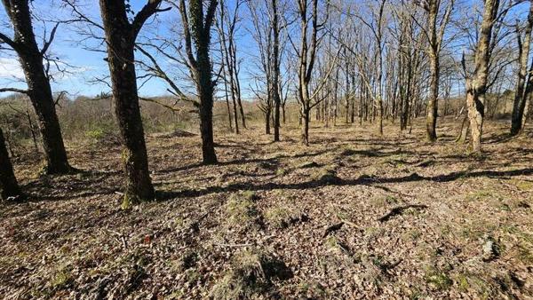 Terrain à vendre |  Romorantin-Lanthenay |  7220 m²