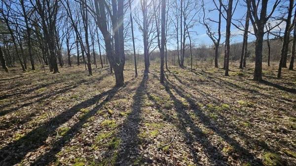 Terrain à vendre |  Romorantin-Lanthenay |  7220 m²