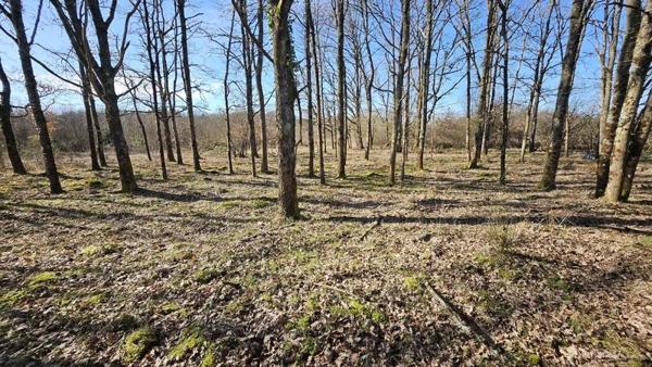 Terrain à vendre |  Romorantin-Lanthenay |  7220 m²
