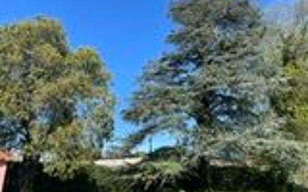 Terrain à vendre    Ancône