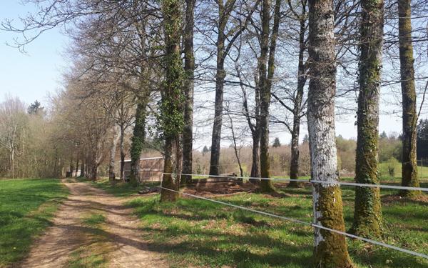 Terrain à vendre    Vayres