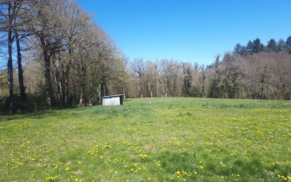 Terrain à vendre    Vayres