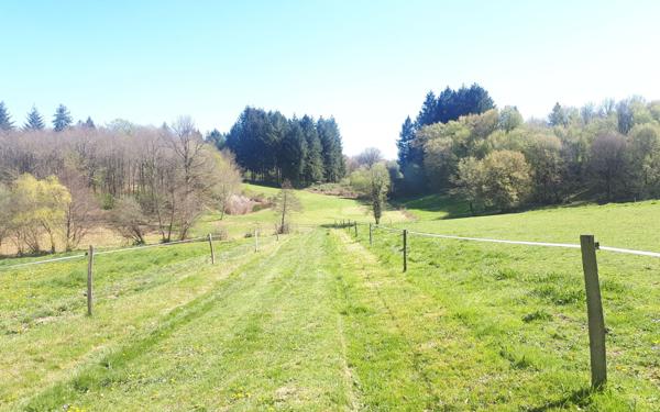 Terrain à vendre    Vayres