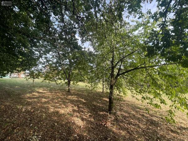 Achat - Terrain à bâtir | Terrain à bâtir Ribérac 24600 1924 m 2 1924 m 2