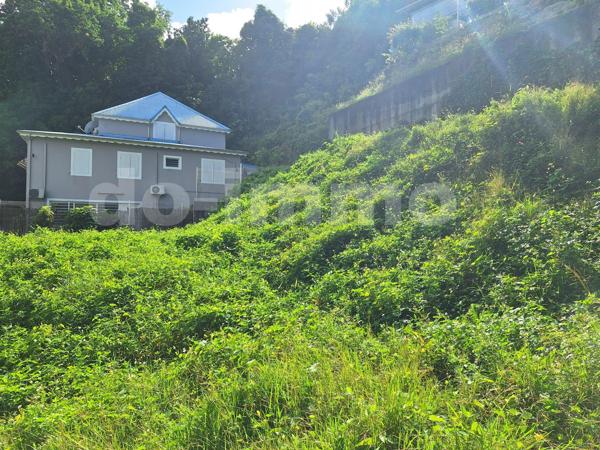 Terrain 550m 2 LE GOSIER