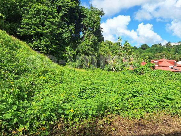 Terrain 550m 2 LE GOSIER