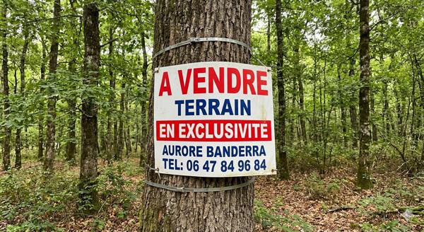 Terrain de loisirs boisé de 7050 m²