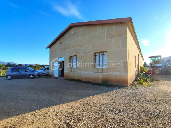 Terrain viticole de 87 173 m²